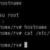 check_hostname (edouard.lamoine)